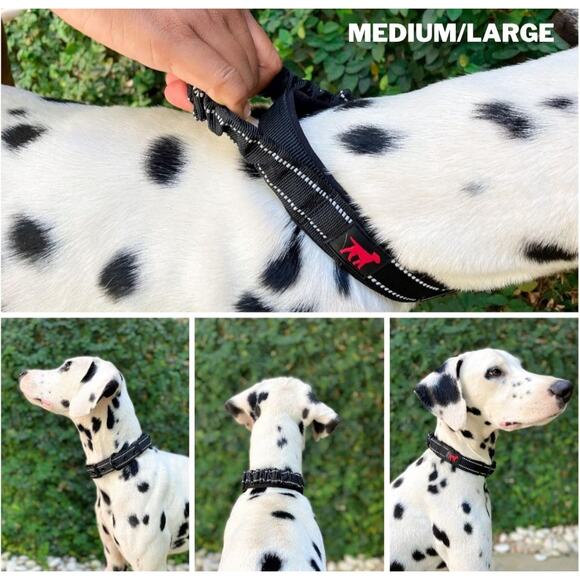 Reflective Bungee Dog Collar – Adjustable No-Pull Stretch Design Size M - Picture 3 of 3